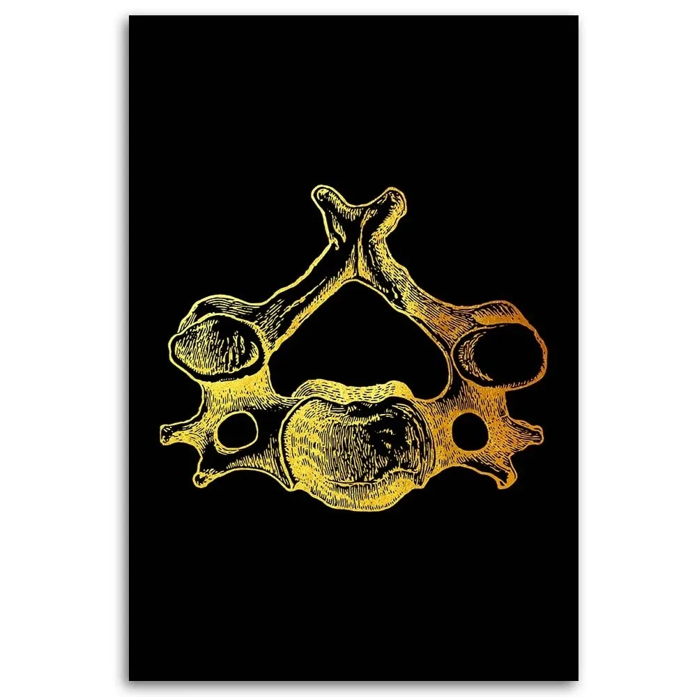 obraz-na-plotnie-anatomia-czlowieka-40x60