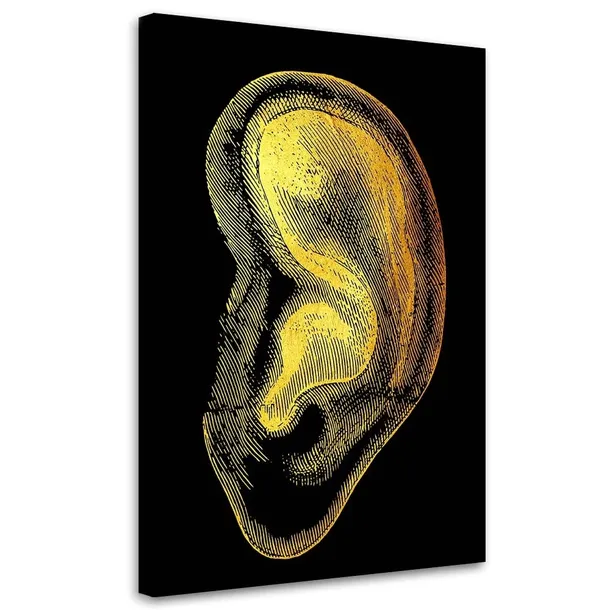 obraz-na-plotnie-anatomia-ucho-40x60