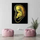 obraz-na-plotnie-anatomia-ucho-40x60-stan-nowy