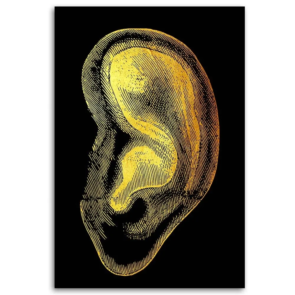 obraz-na-plotnie-anatomia-ucho-40x60