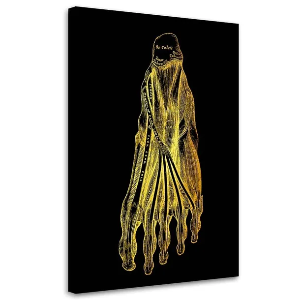 obraz-na-plotnie-anatomia-stopa-40x60