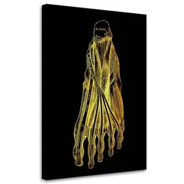 obraz-na-plotnie-anatomia-stopa-40x60