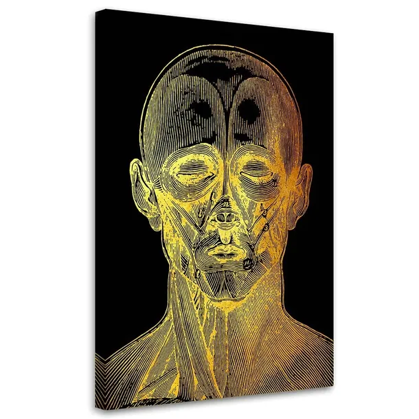 obraz-na-plotnie-anatomia-twarzy-40x60