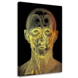 obraz-na-plotnie-anatomia-twarzy-40x60