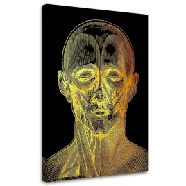 obraz-na-plotnie-anatomia-twarzy-40x60