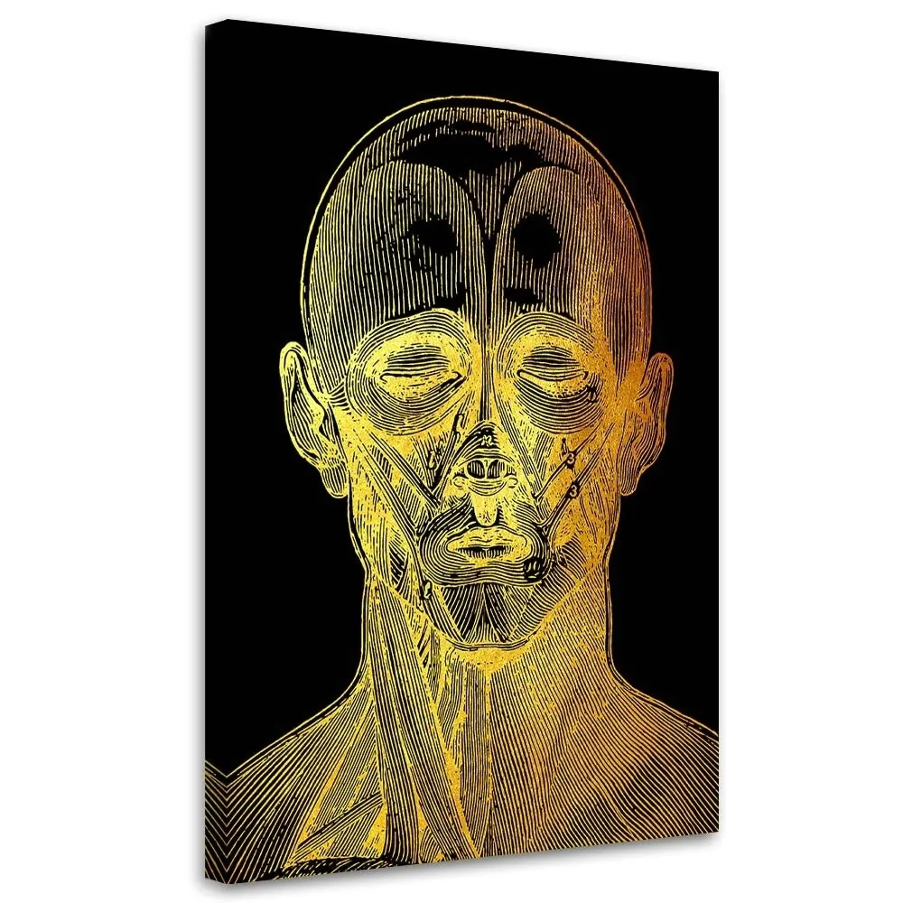 obraz-na-plotnie-anatomia-twarzy-40x60