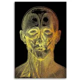 obraz-na-plotnie-anatomia-twarzy-40x60-sposob-wykonania-druk-cyfrowy