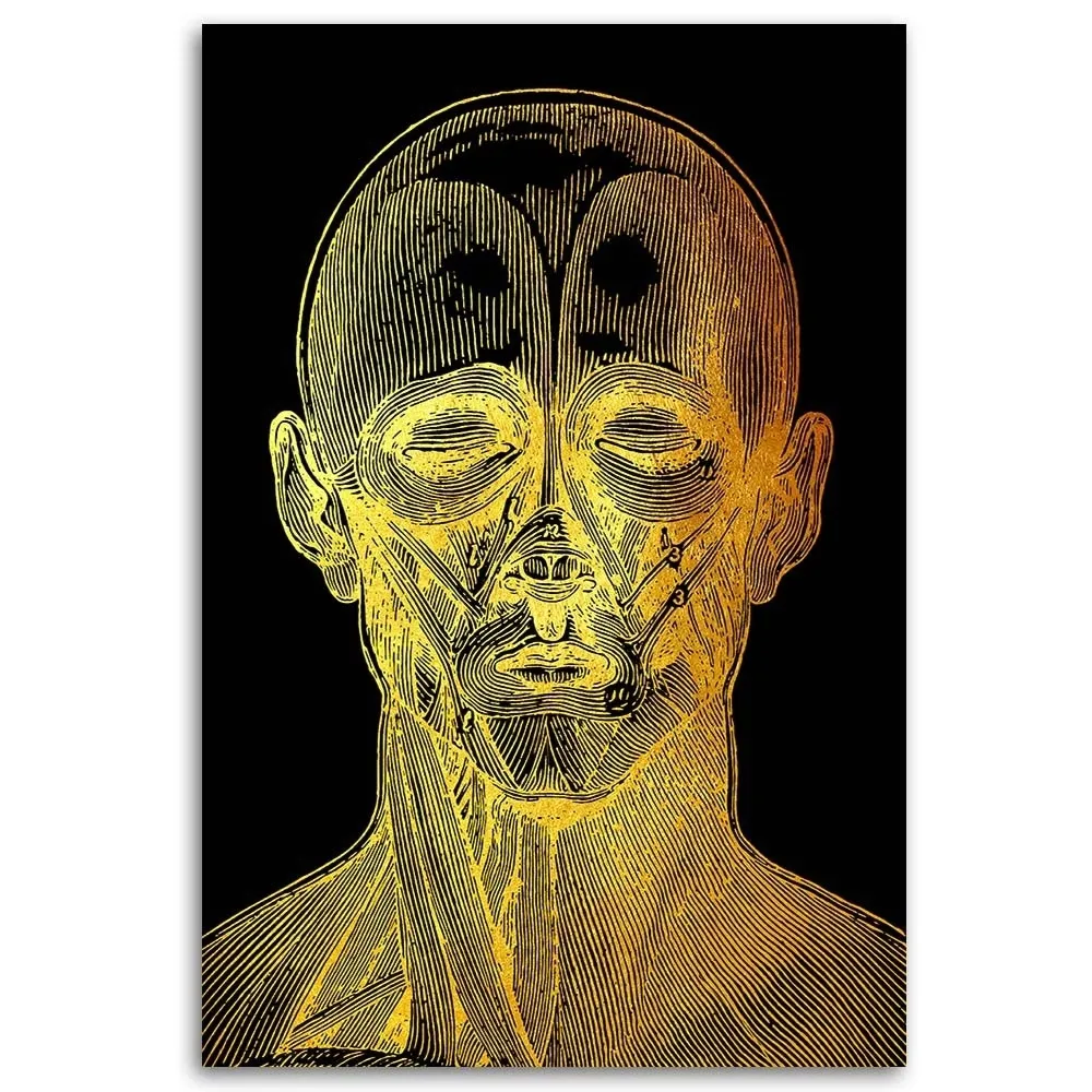 obraz-na-plotnie-anatomia-twarzy-40x60