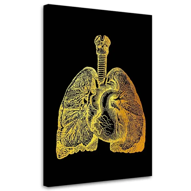 obraz-na-plotnie-zlota-anatomia-40x60