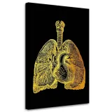 obraz-na-plotnie-zlota-anatomia-40x60