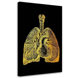 obraz-na-plotnie-zlota-anatomia-40x60