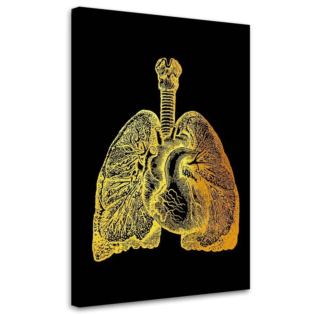 obraz-na-plotnie-zlota-anatomia-40x60