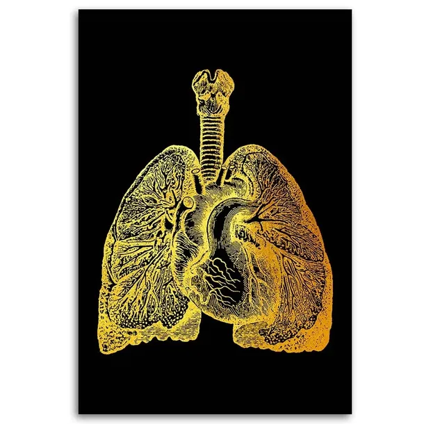 obraz-na-plotnie-zlota-anatomia-40x60-sposob-wykonania-druk-cyfrowy