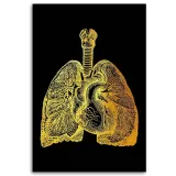 obraz-na-plotnie-zlota-anatomia-40x60-sposob-wykonania-druk-cyfrowy