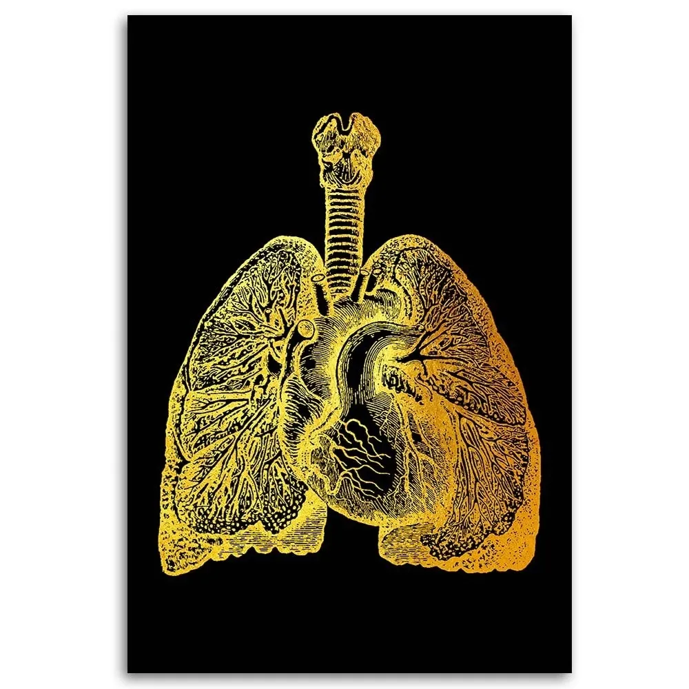obraz-na-plotnie-zlota-anatomia-40x60