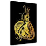 obraz-na-plotnie-anatomia-serca-w-zlocie-40x60
