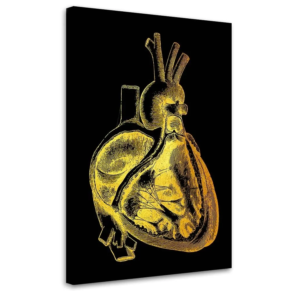 obraz-na-plotnie-anatomia-serca-w-zlocie-40x60