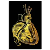 obraz-na-plotnie-anatomia-serca-w-zlocie-40x60-sposob-wykonania-druk-cyfrowy
