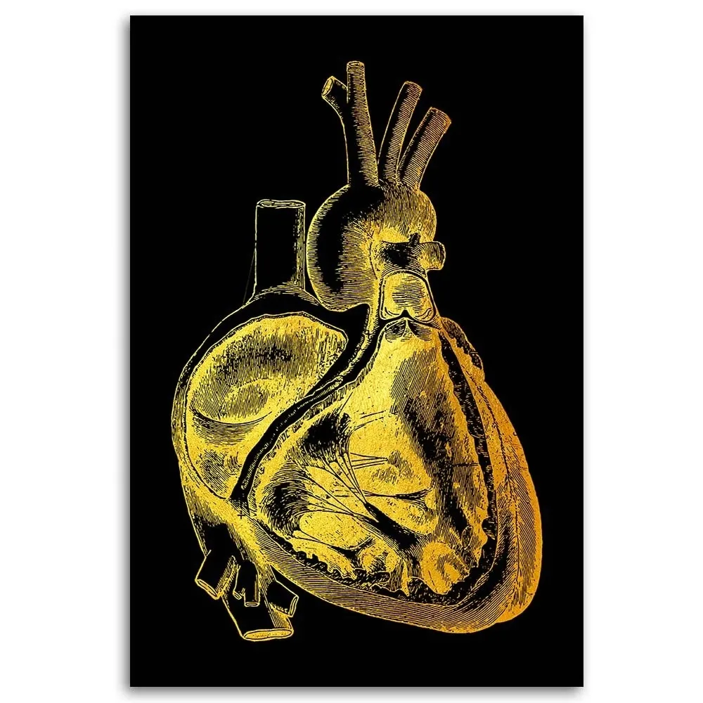 obraz-na-plotnie-anatomia-serca-w-zlocie-40x60