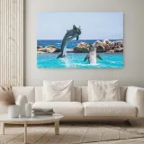 obraz-plotno-canvas-koty-delfiny-woda-morze-120x80-stan-nowy
