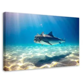 obraz-plotno-canvas-rekin-kot-morze-ocean-120x80