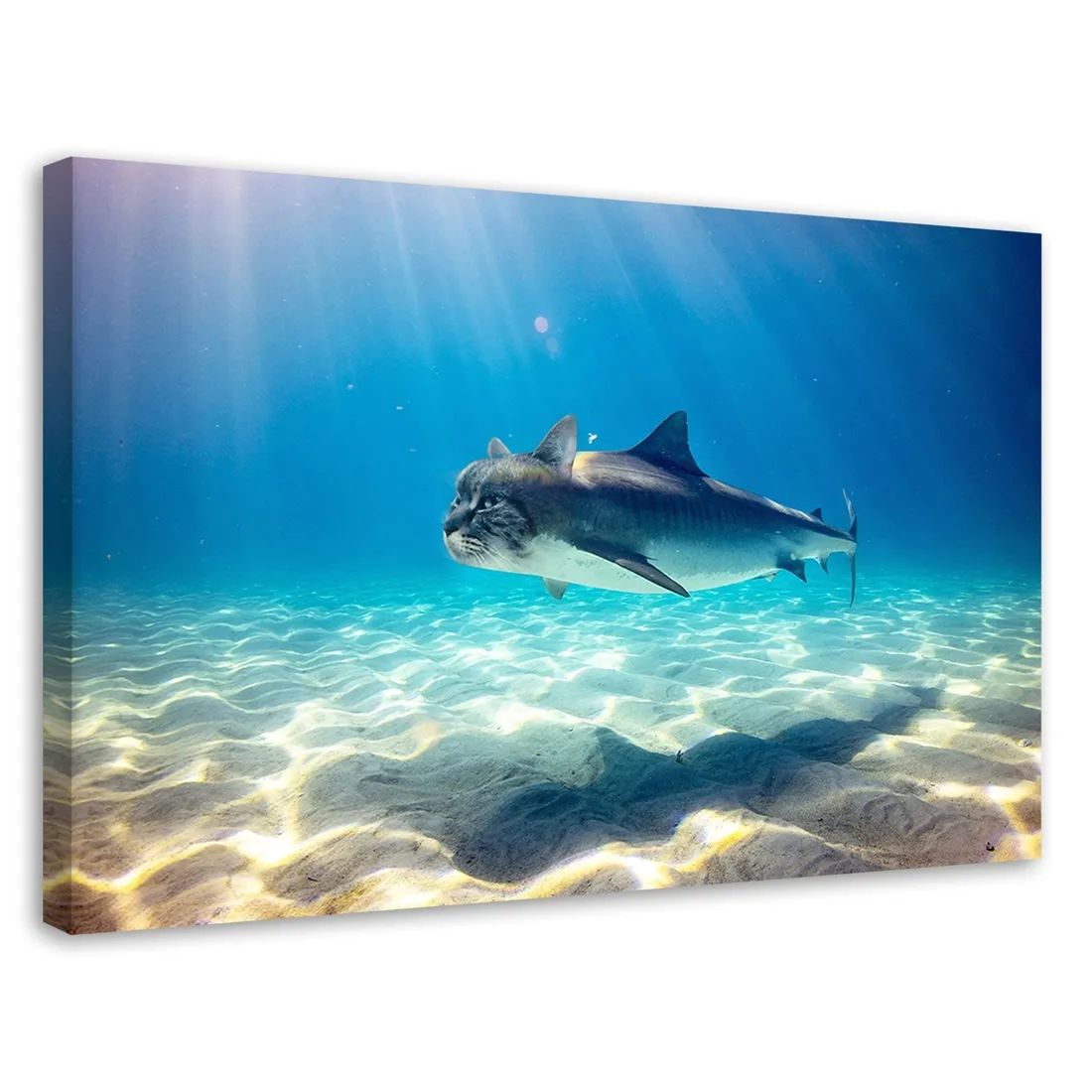 obraz-plotno-canvas-rekin-kot-morze-ocean-120x80