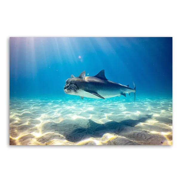 obraz-plotno-canvas-rekin-kot-morze-ocean-120x80-format-poziomy