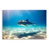 obraz-plotno-canvas-rekin-kot-morze-ocean-120x80-format-poziomy