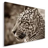 polski-obraz-na-plotnie-ocelot-100x70-stan-nowy