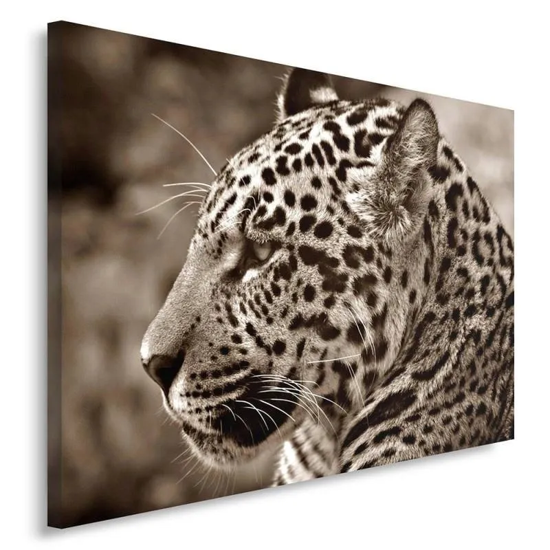 polski-obraz-na-plotnie-ocelot-100x70-stan-nowy