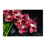 obraz-plotno-canvas-orchidea-na-bambusach-80x60
