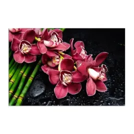 obraz-plotno-canvas-orchidea-na-bambusach-80x60