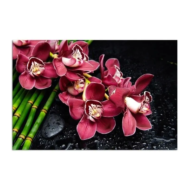 obraz-plotno-canvas-orchidea-na-bambusach-80x60