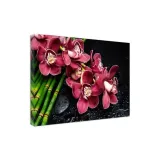 obraz-plotno-canvas-orchidea-na-bambusach-80x60-stan-nowy