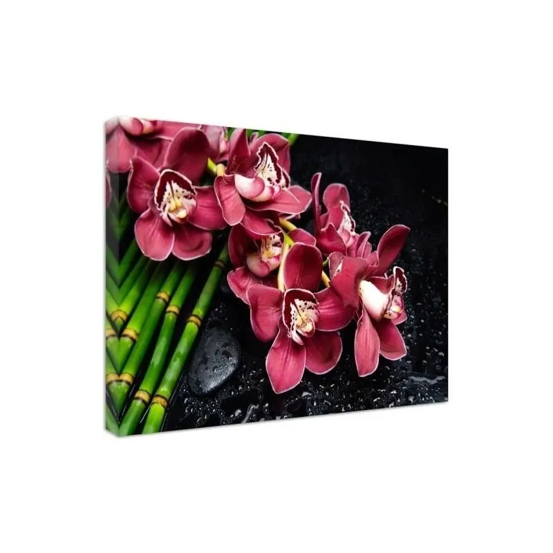 obraz-plotno-canvas-orchidea-na-bambusach-80x60-stan-nowy