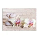 obraz-plotno-canvas-orchidea-kamienie-piasek-80x60