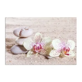 obraz-plotno-canvas-orchidea-kamienie-piasek-80x60