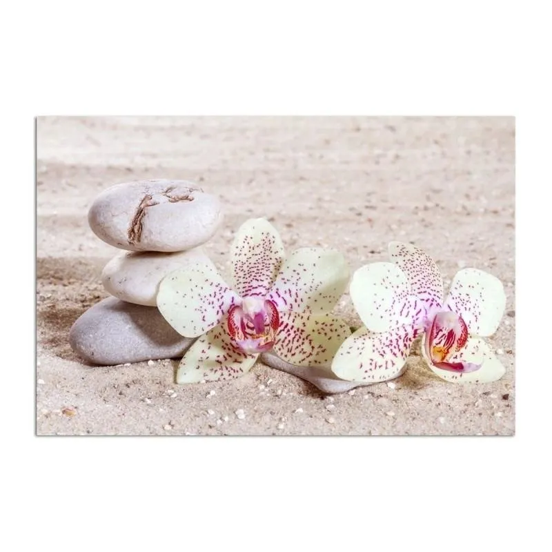 obraz-plotno-canvas-orchidea-kamienie-piasek-80x60