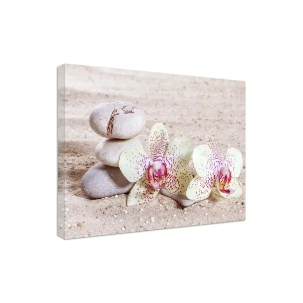 obraz-plotno-canvas-orchidea-kamienie-piasek-80x60-stan-nowy