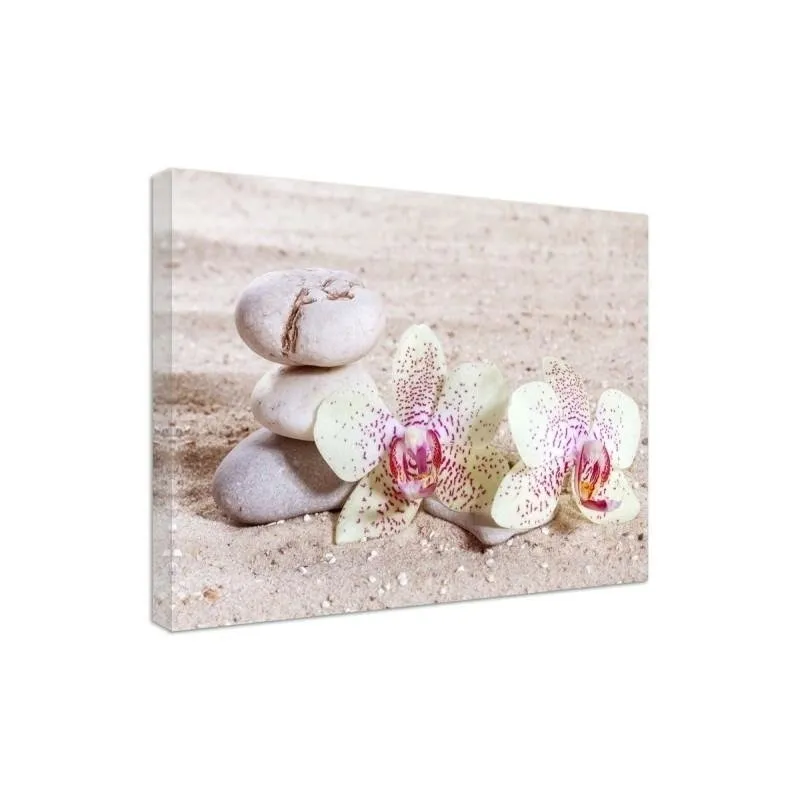obraz-plotno-canvas-orchidea-kamienie-piasek-80x60-stan-nowy