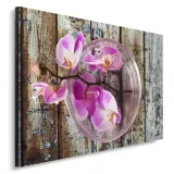 obraz-poziom-plotno-canvas-orchidea-na-tle-desek-80x60-stan-nowy