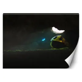 fototapeta-zapomniany-zehem-chong-450x315