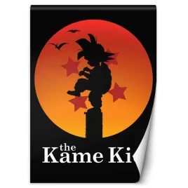 fototapeta-the-kame-kid-dr-monekers-100x140