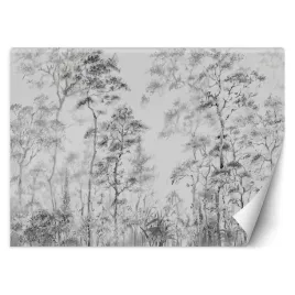 fototapeta-wysokie-cienkie-drzewa-450x315