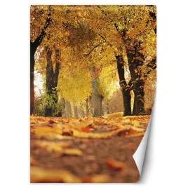 fototapeta-zlota-polska-jesien-100x140