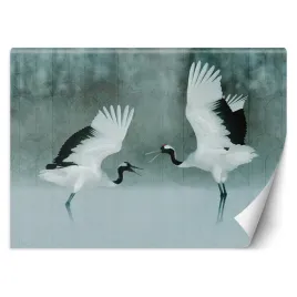 fototapeta-zwierzeta-szary-450x315