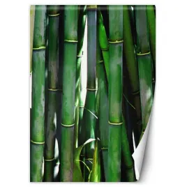 fototapeta-zielone-bambusy-200x280