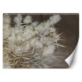 fototapeta-trawa-pampasowa-boho-450x315