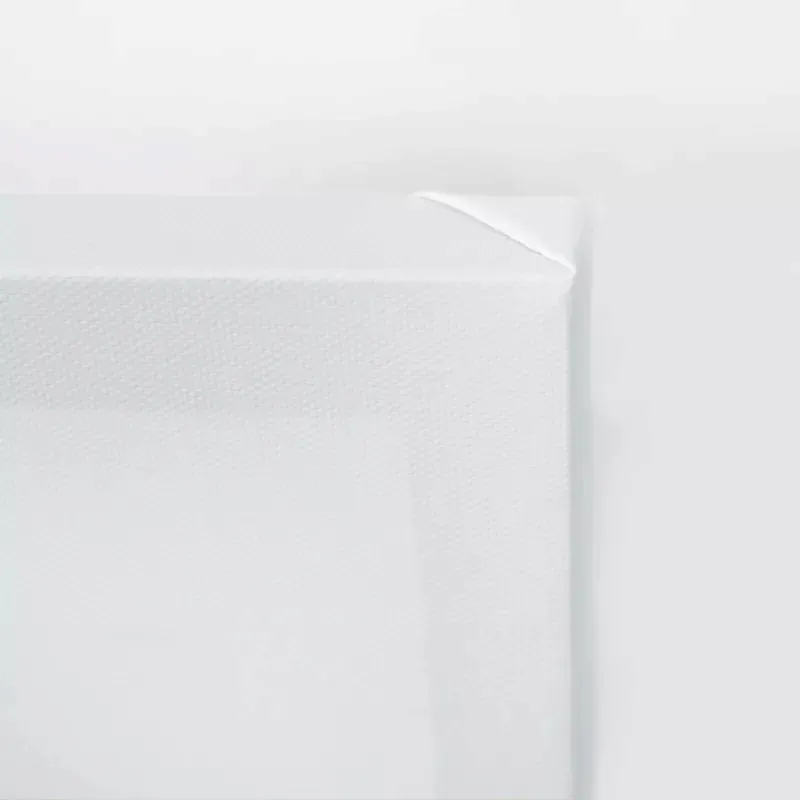 obraz-na-plotnie-scott-summers-saqman-40x60