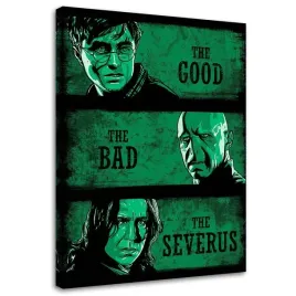 obraz-na-plotnie-kolaz-harry-potter-ddjvigo-70x100